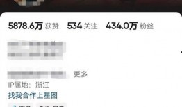 蔡老板爆料日本车视频播放,日本车视频播放背后的惊人真相